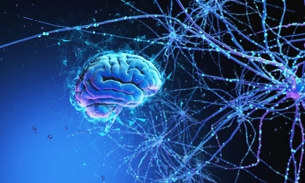 Mózg z siecią powiązań oddziaływań terapeutycznych w neuropsychologii